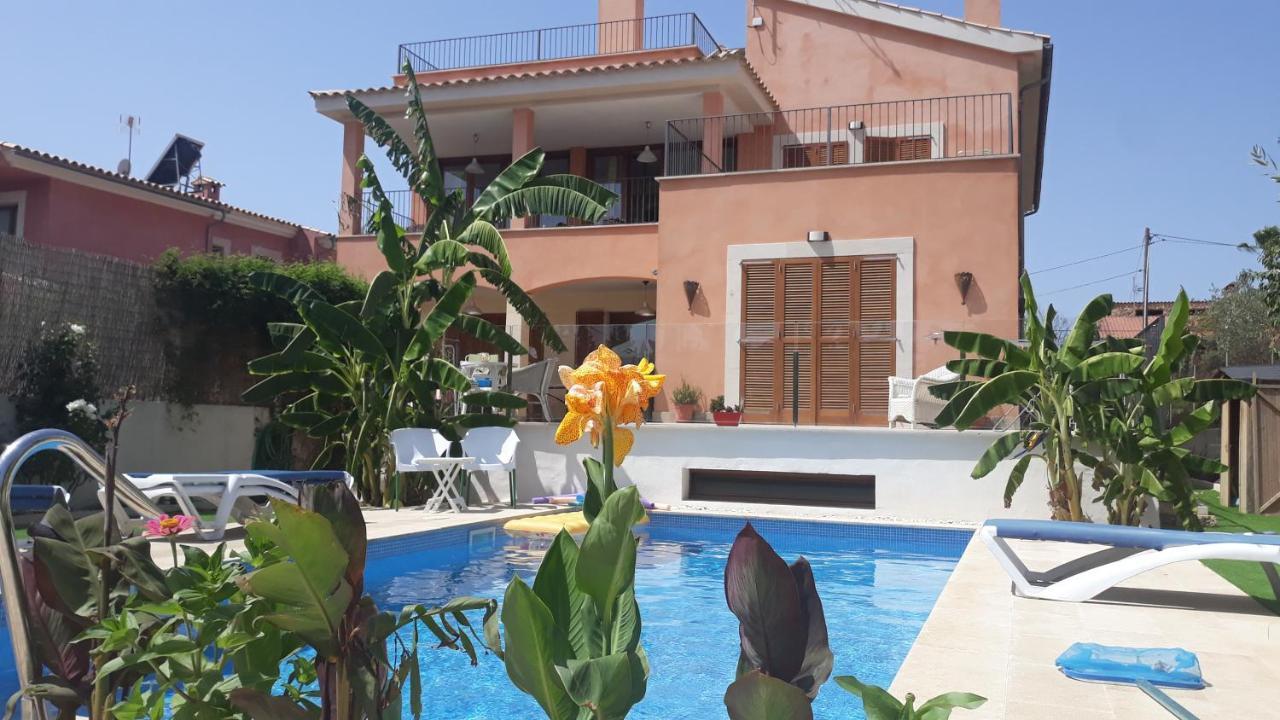 Hébergement de vacances Ecological Palma