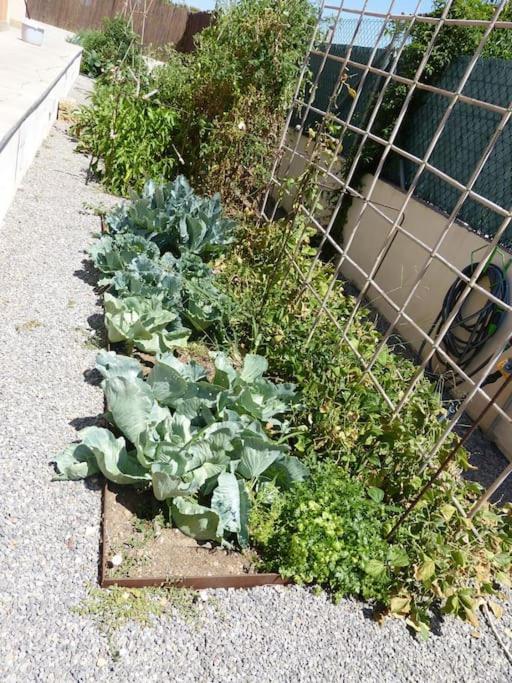 Ecological Hébergement de vacances *