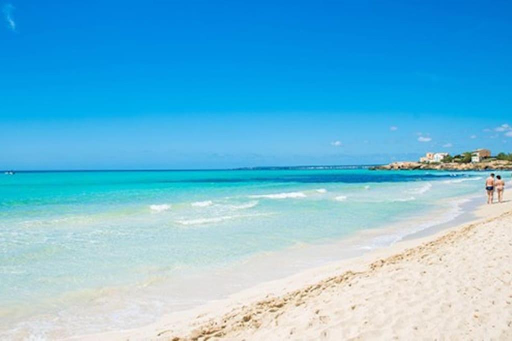 Hébergement de vacances Ecological Palma