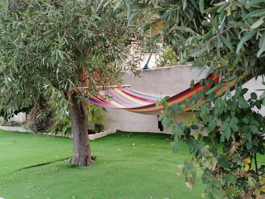 Ecological Palma