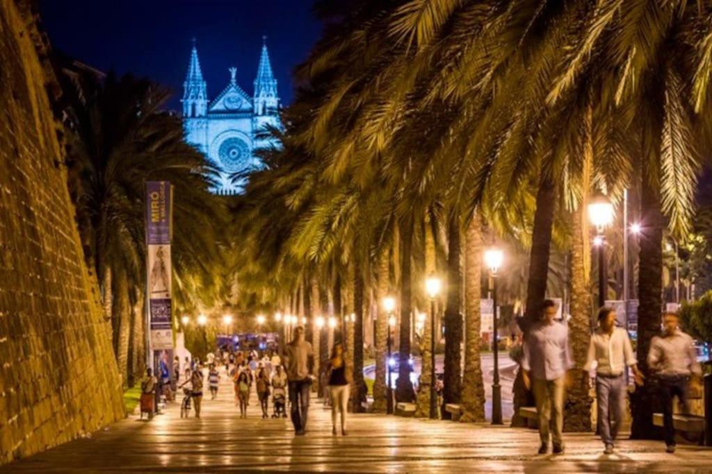 Ecological * Palma